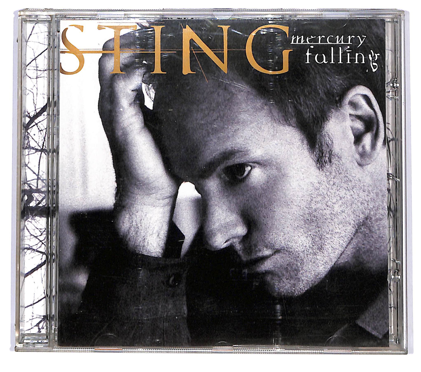 EBOND Sting - Mercury Falling CD CD118813