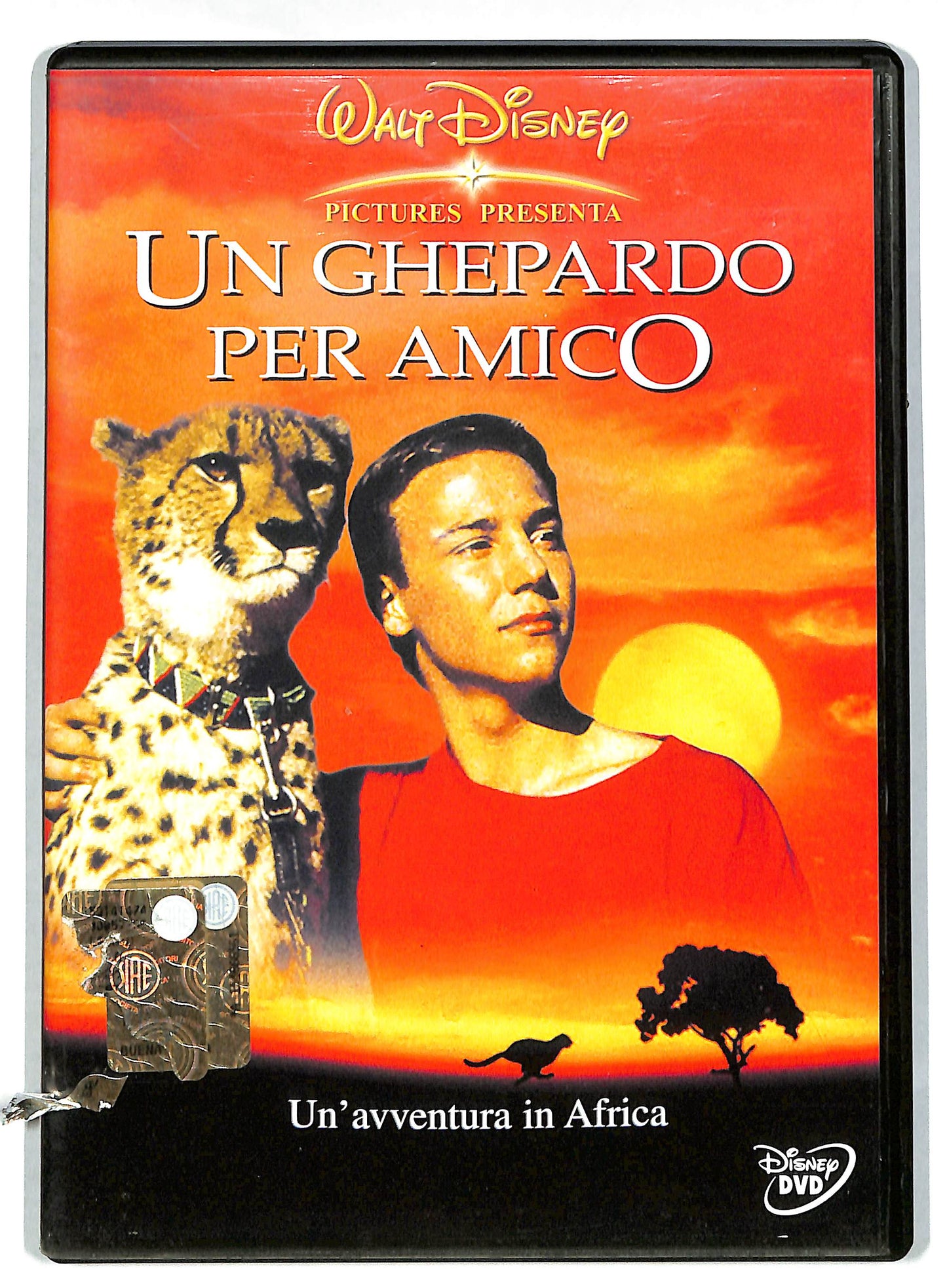 EBOND Un ghepardo per amico DVD DB590645