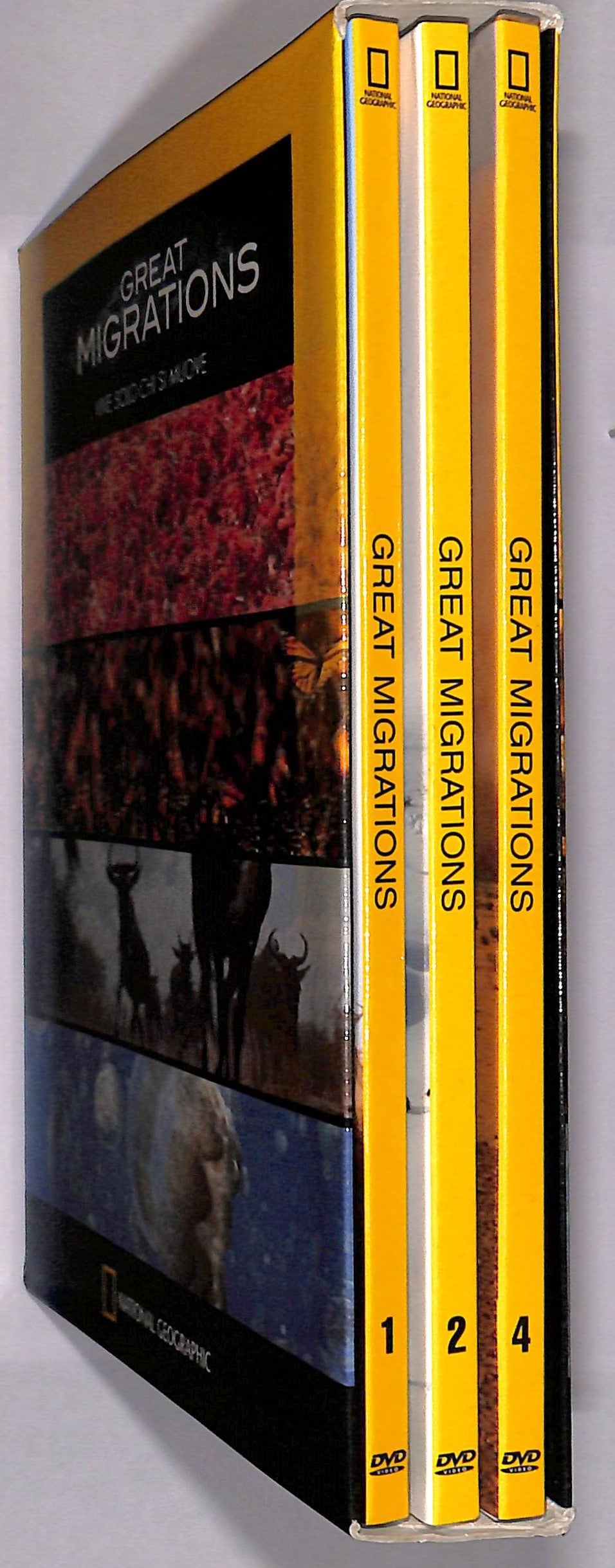 EBOND Great Migrations vive solo chi si muove 3 dischi DVD DB609333