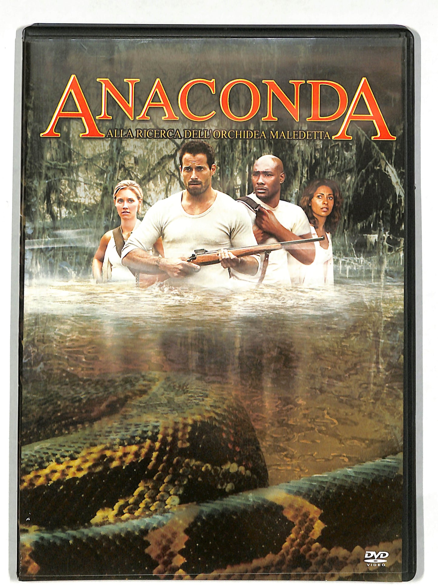 EBOND Anaconda NOLEGGIO DVD DB612437