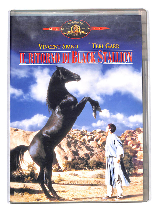 EBOND Il Ritorno di Black Stallion DVD DB624914