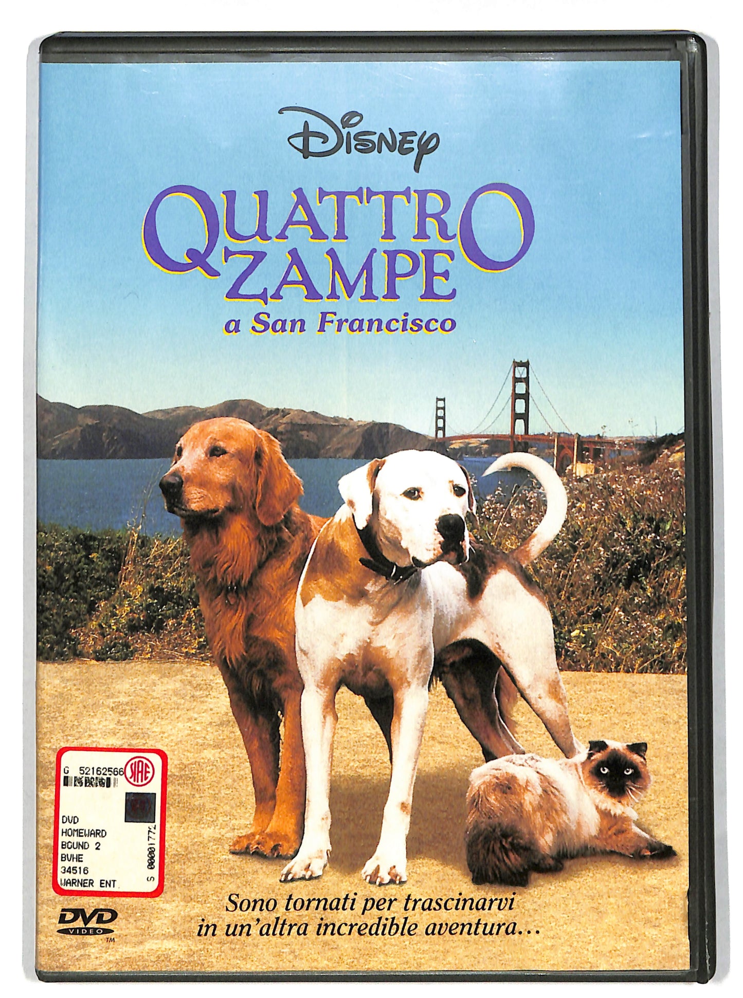 EBOND Quattro zampe a San Francisco DVD DB631173