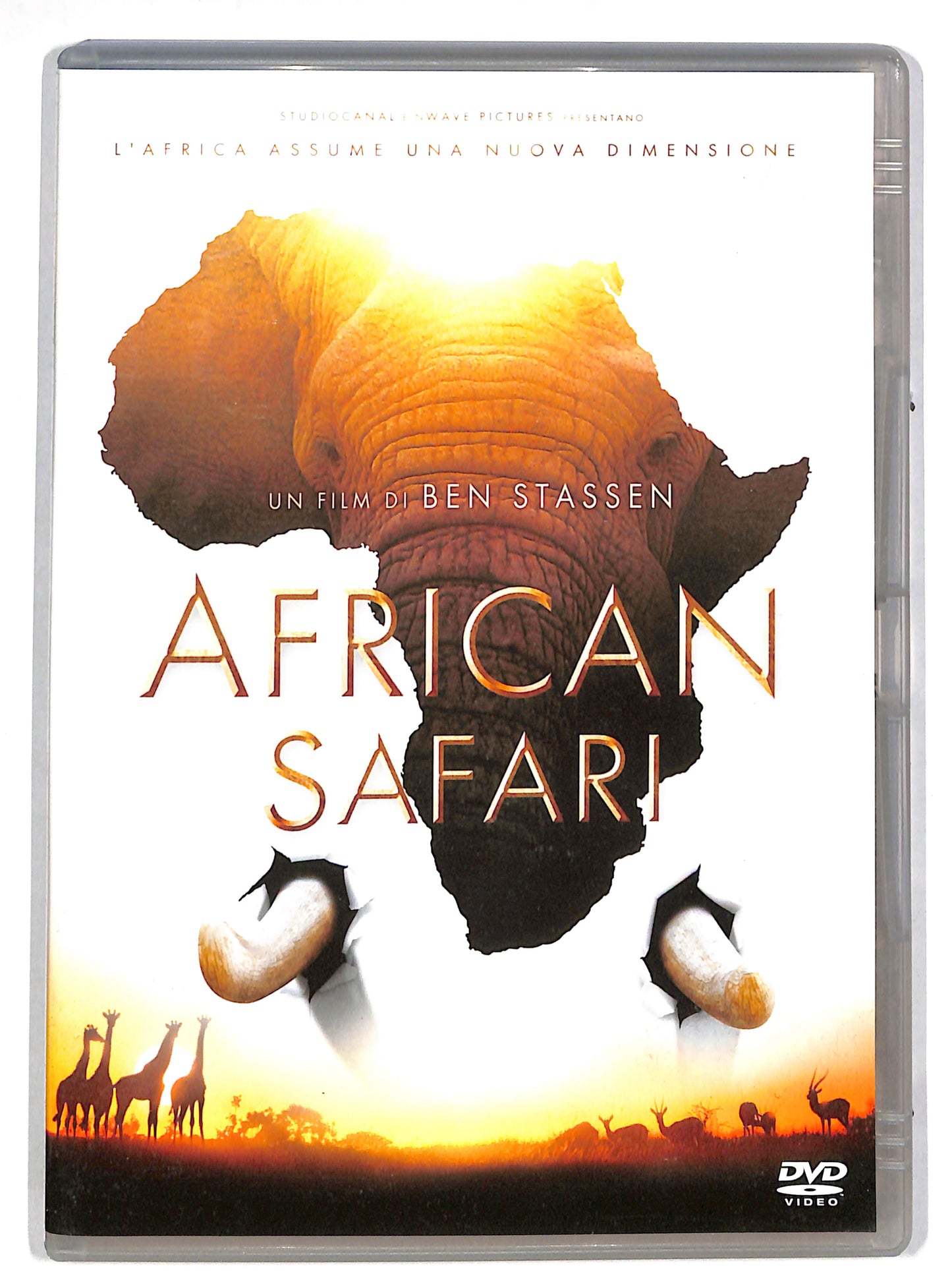 EBOND African safari DVD DB639113