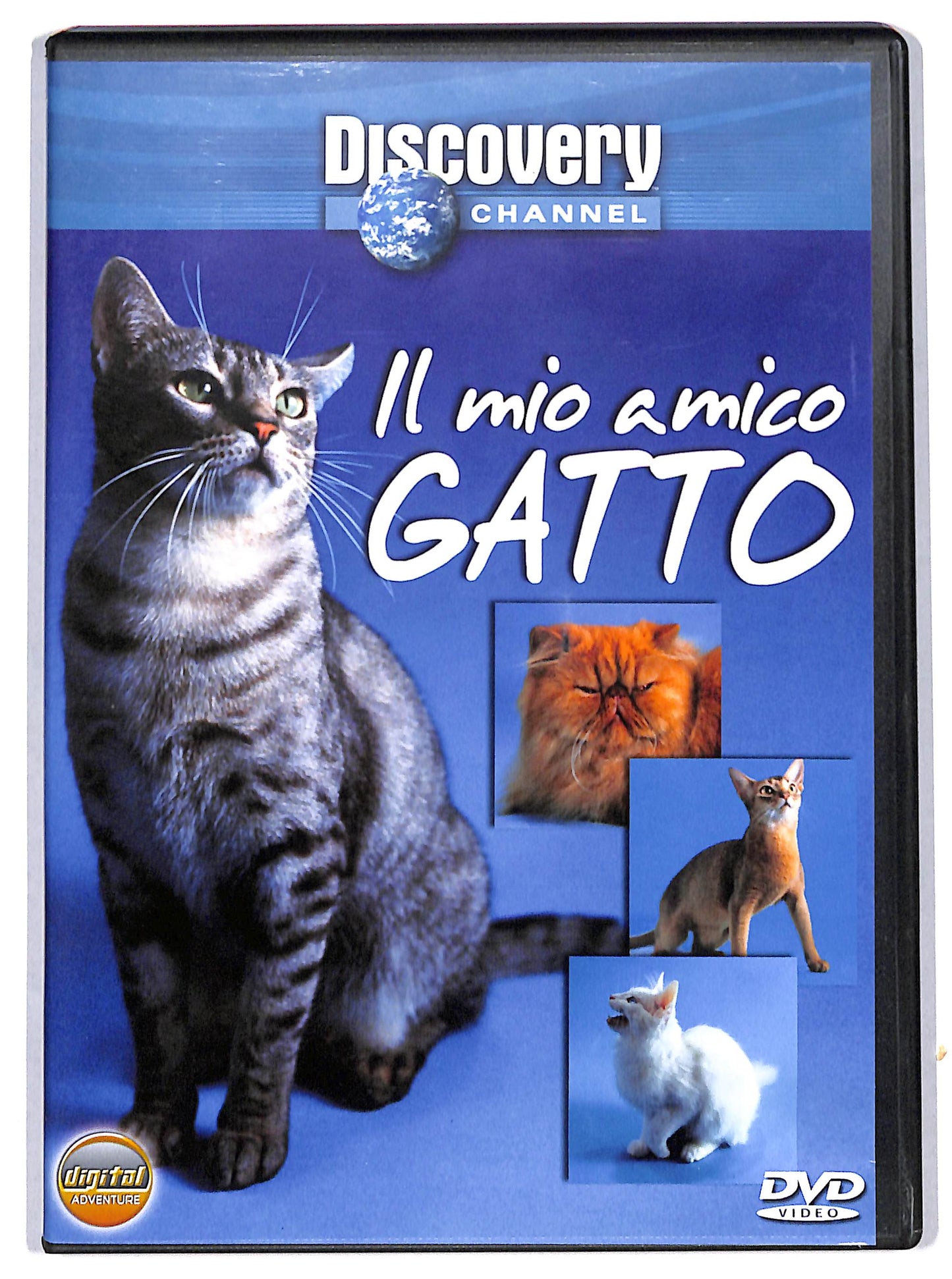 EBOND Il mio amico gatto DVD DB650132