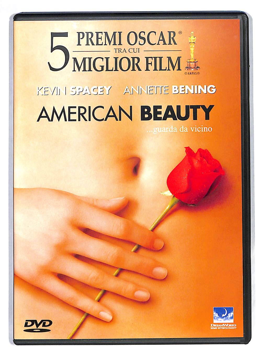 EBOND American Beauty DVD DB659122