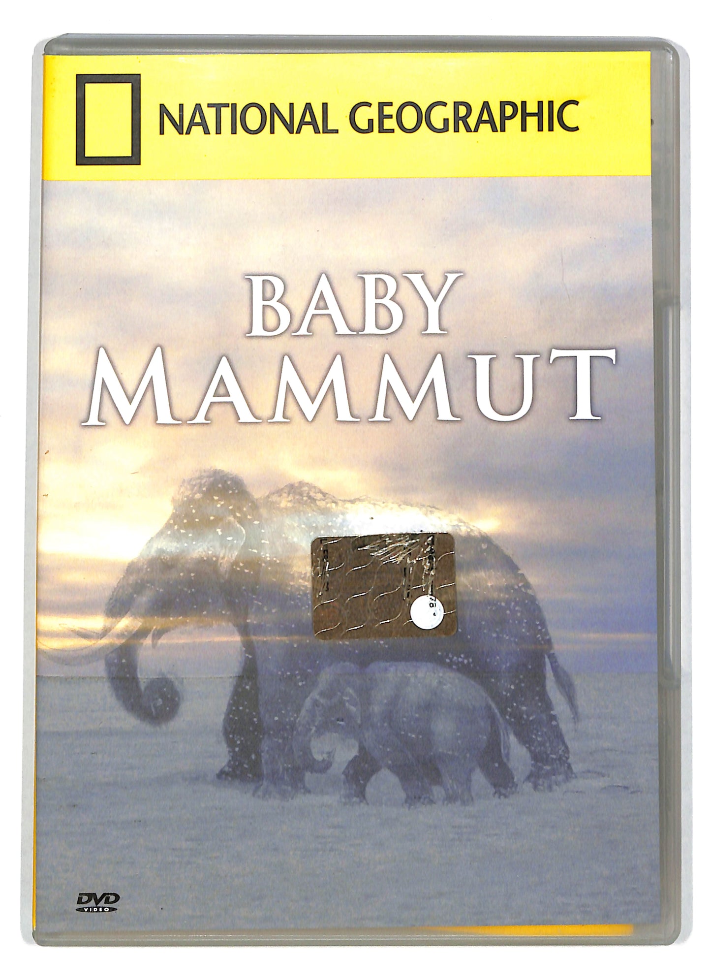 EBOND Baby mammut vol 76 EDITORIALE DVD DB661625