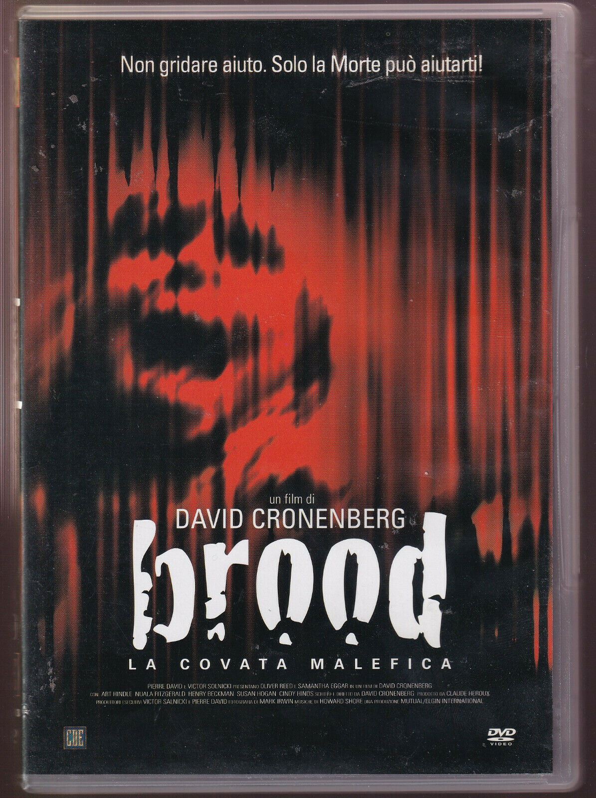 EBOND Brood La Covata Malefica DVD DB663138