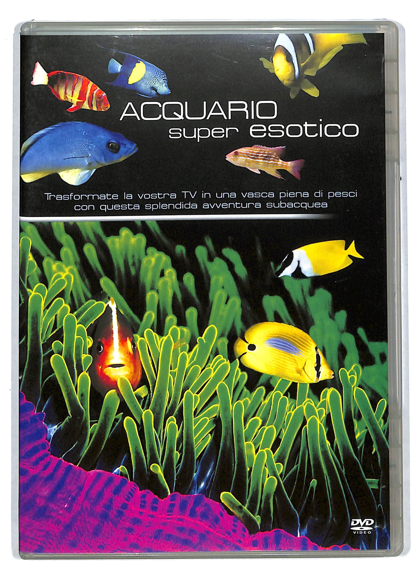 EBOND Acquario super esotico DVD DB671139
