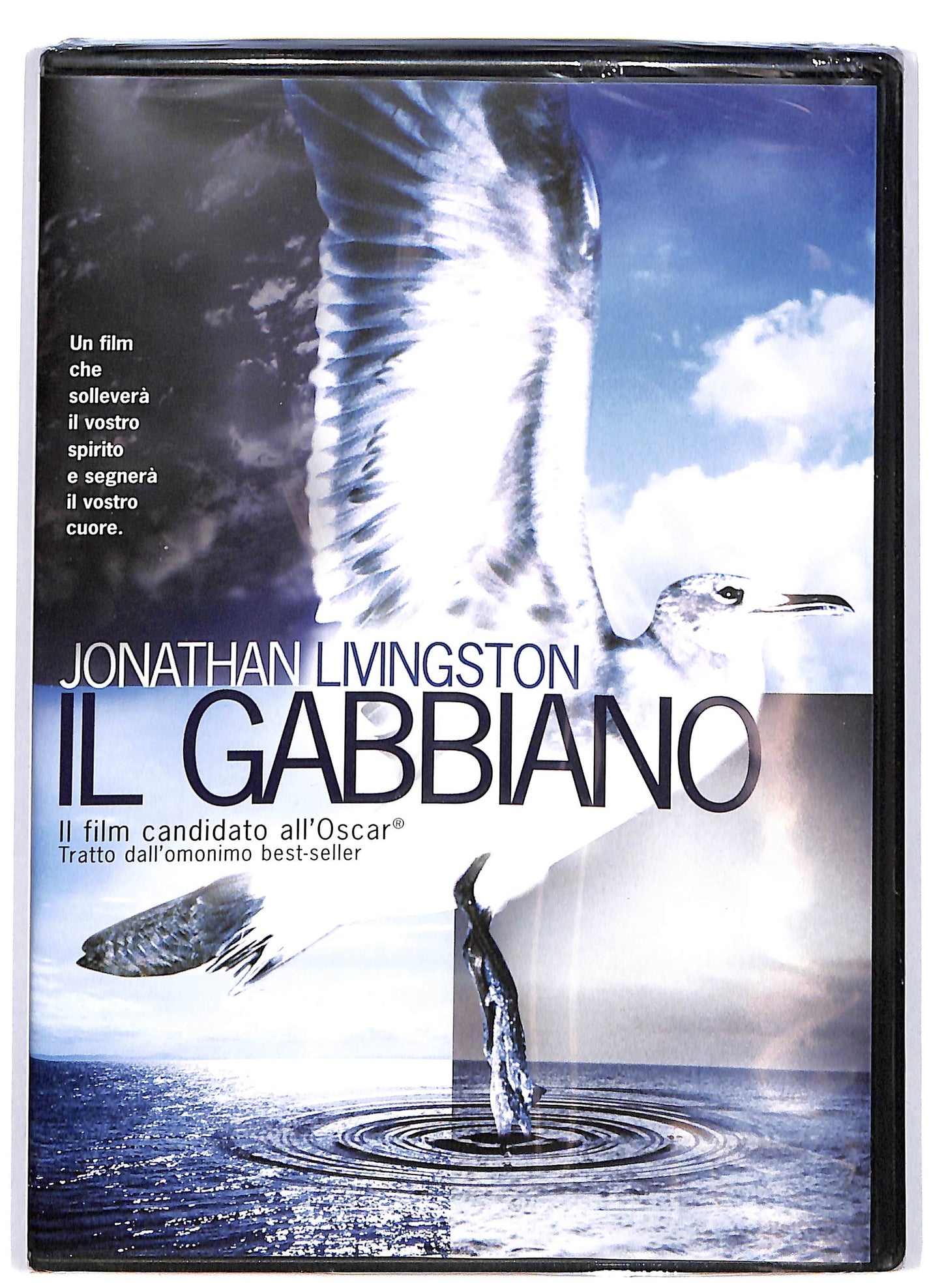 EBOND Il Gabbiano DVD DB677758