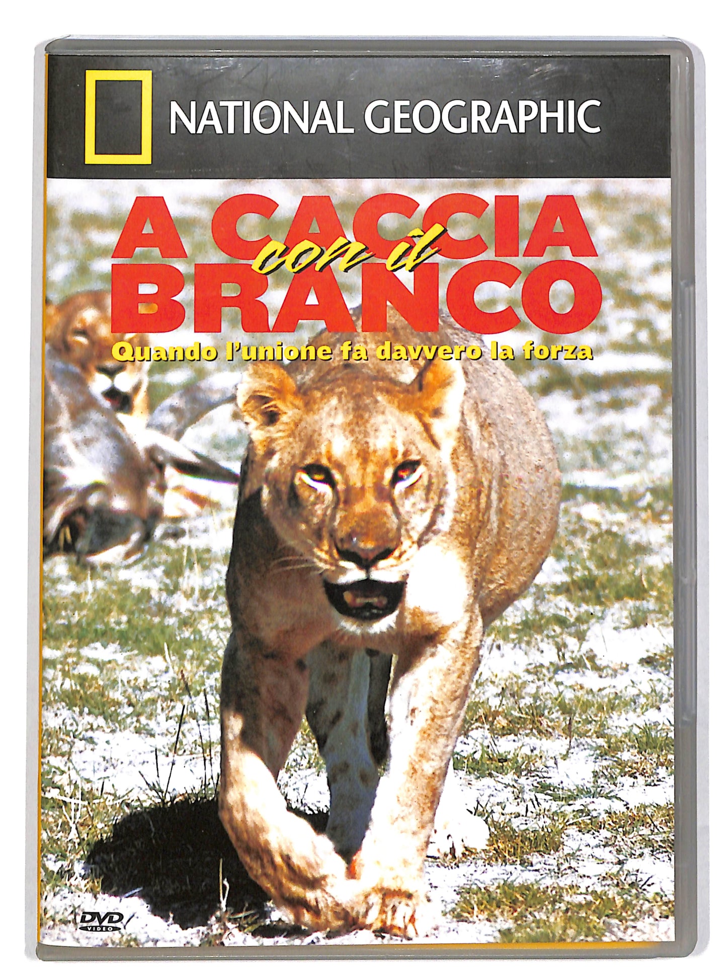 EBOND A caccia con il branco - National geographic EDITORIALE DVD DB705143