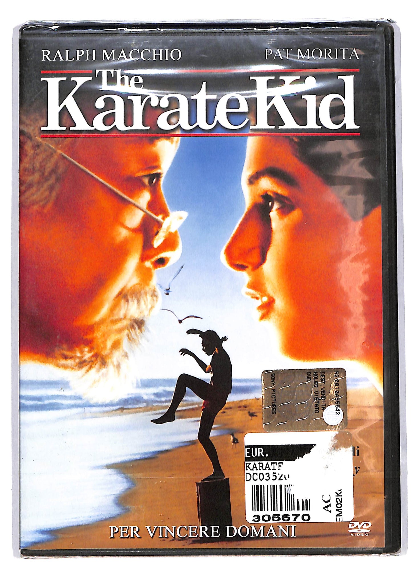 EBOND Karate Kid. Per vincere domani DVD DB710907