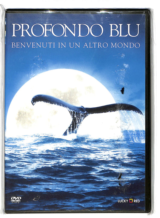 EBOND Profondo Blu DVD DB725143