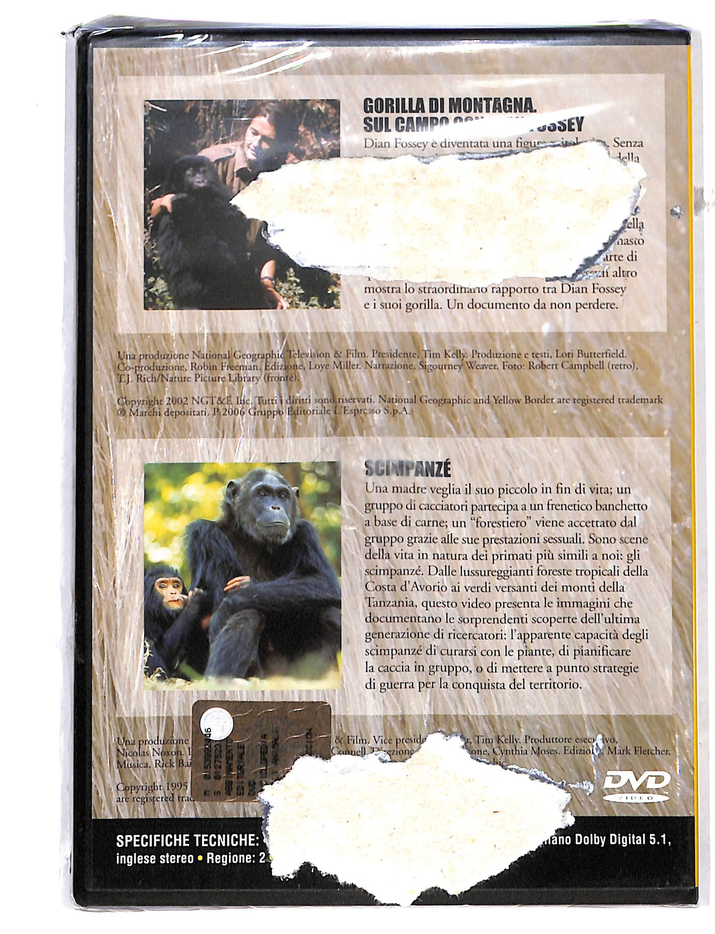 EBOND Gorilla di montagna - scimpanze vol.3 National Geographic DVD DB725451