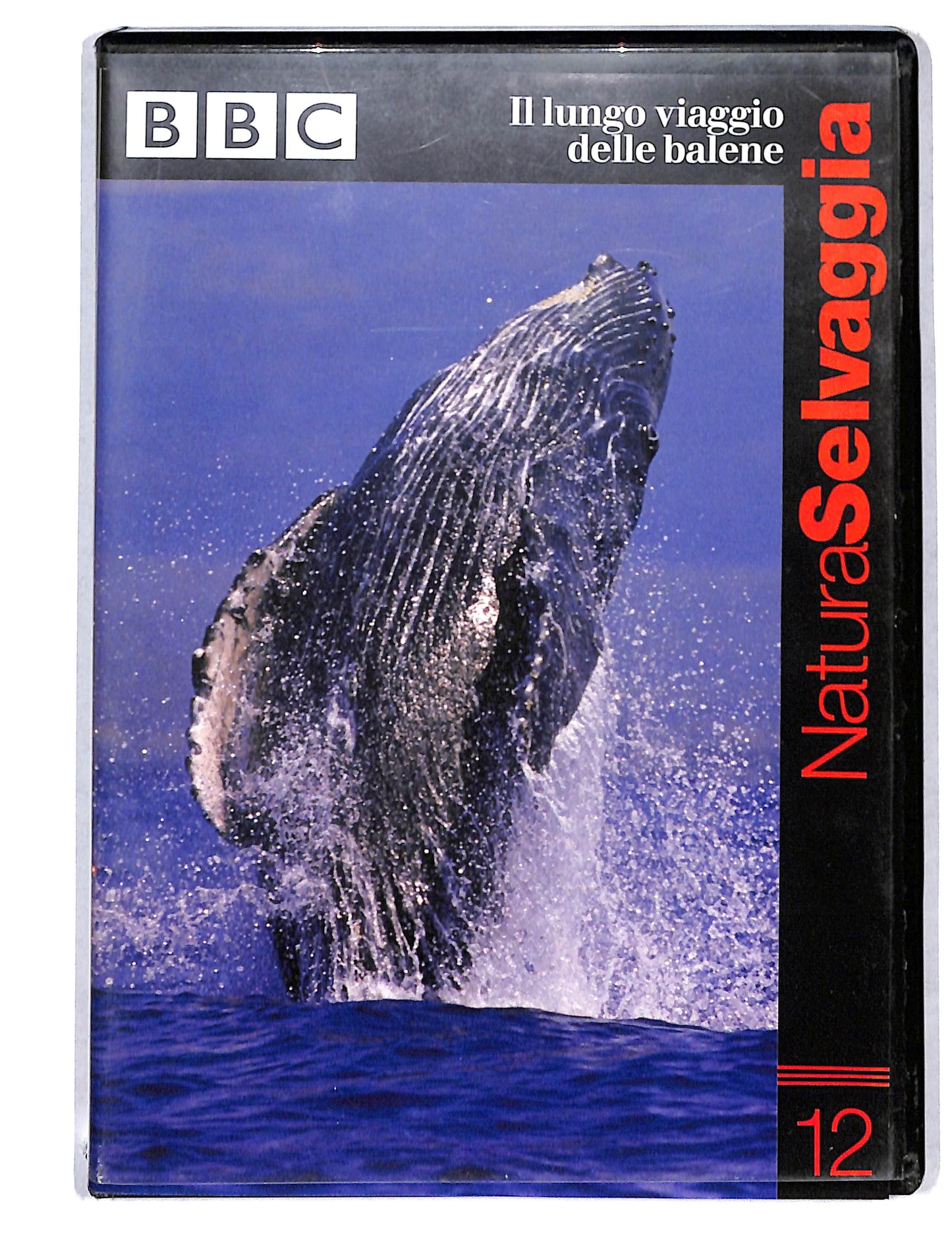 EBOND Natura Selvaggia vol.12 Il lungo viaggio delle balene DVD DB736111