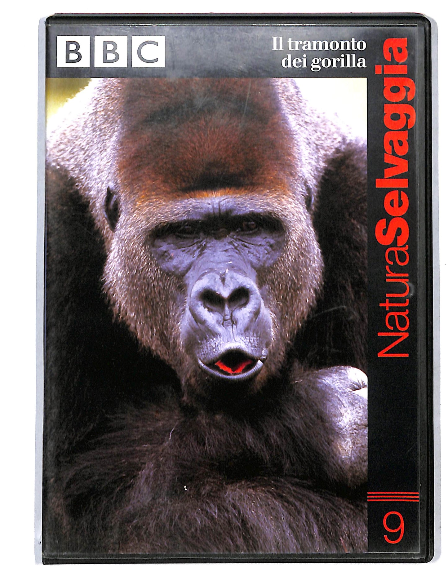 EBOND Natura selvaggia vol.9 il tramonto dei gorilla DVD DB736622