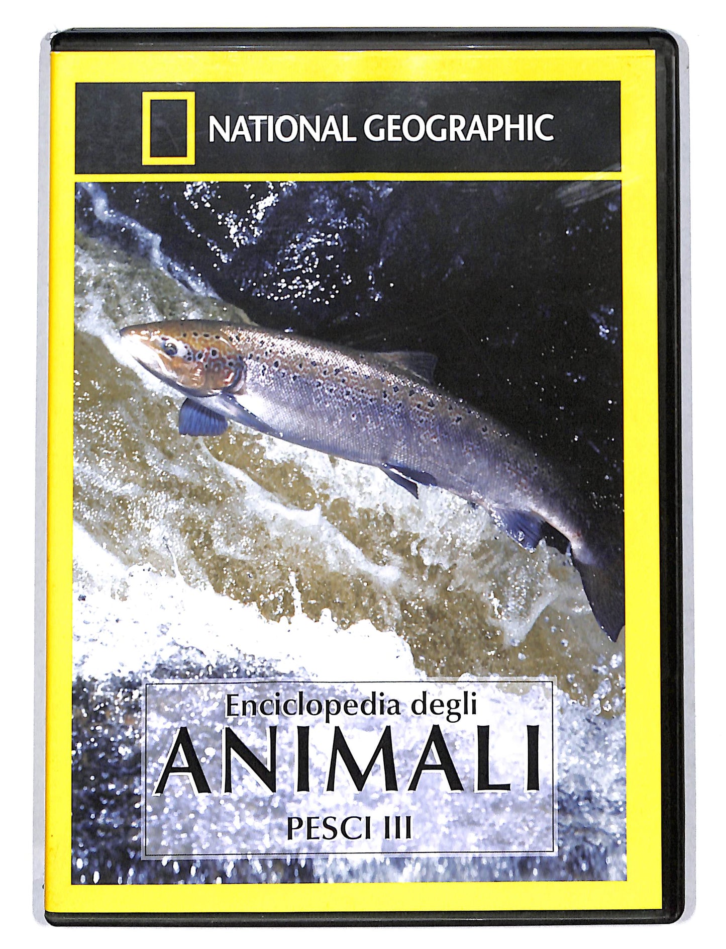 EBOND Le Trote dello Yellowstone - La stagione del salmone DVD DB748823