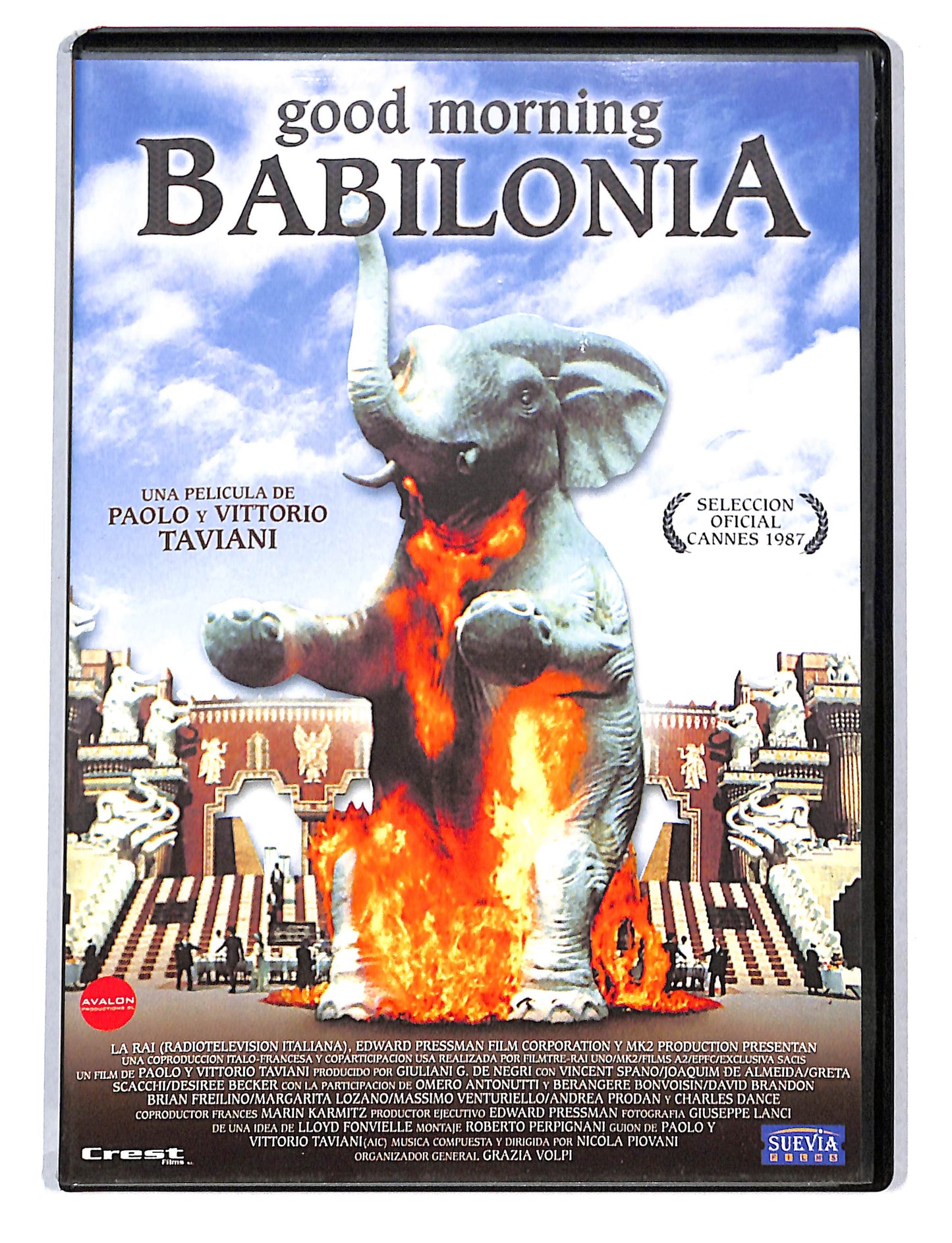EBOND Good morning Babilonia DVD DB748854