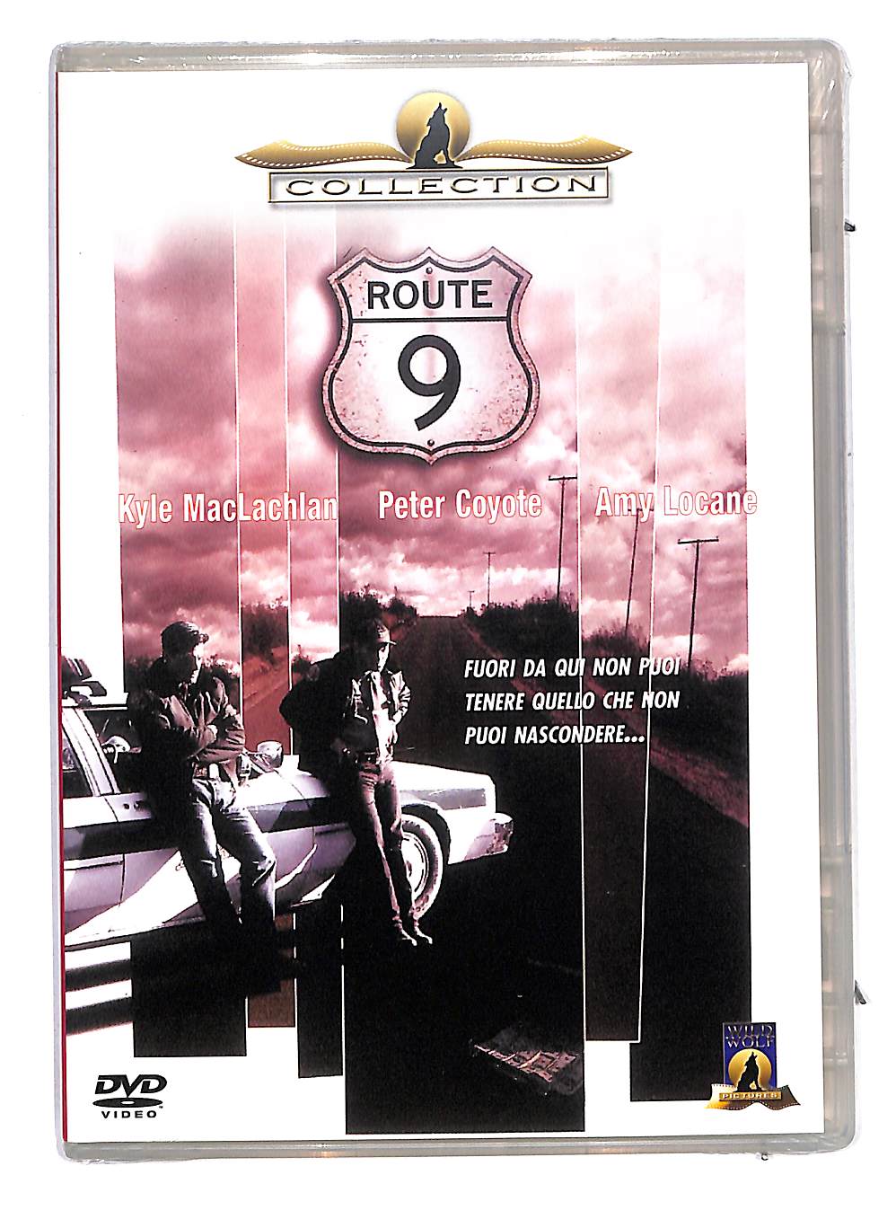 EBOND Route 9 Slimcase DVD DB766407
