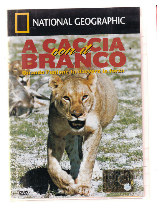 EBOND A Caccia Con Il Branco National Geographic DVD DB774863