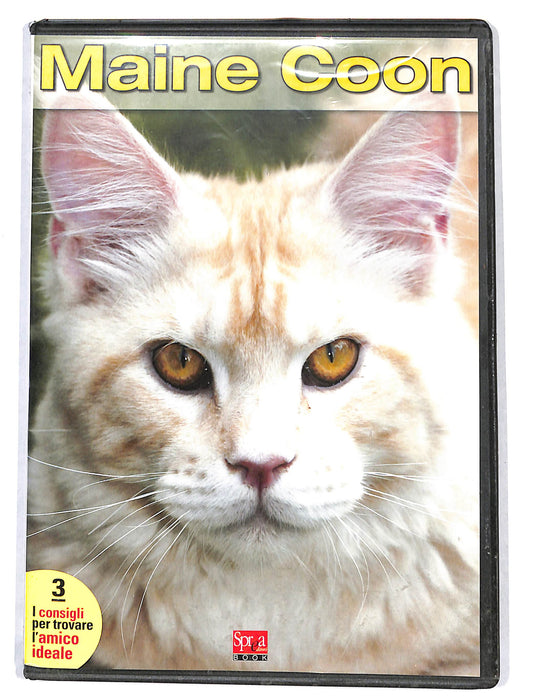 EBOND Maine Coon vol.3 DVD DB787101
