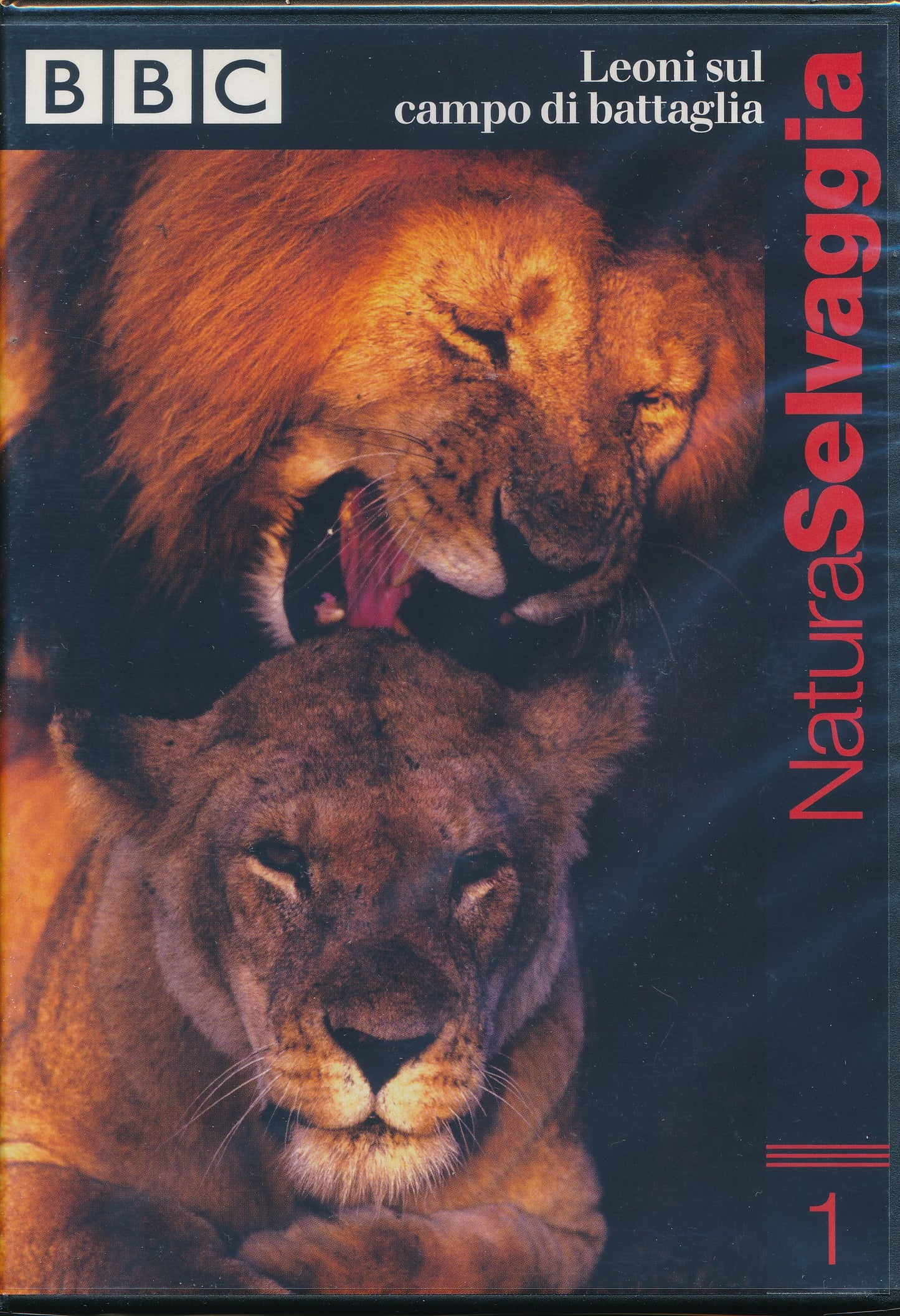 EBOND Leoni sul campo di Battaglia - Natura Selvaggia - BBC n.1 DVD DB790410