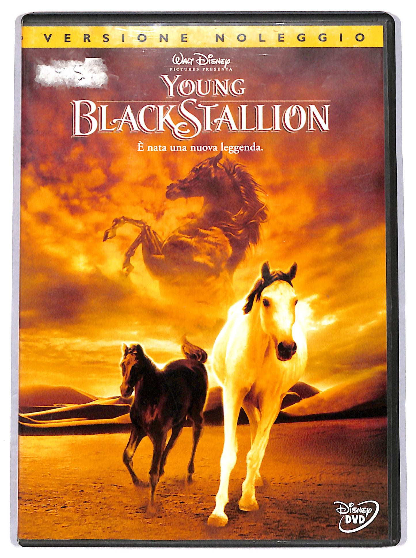 EBOND Young Black Stallion - Noleggio DVD DB796813