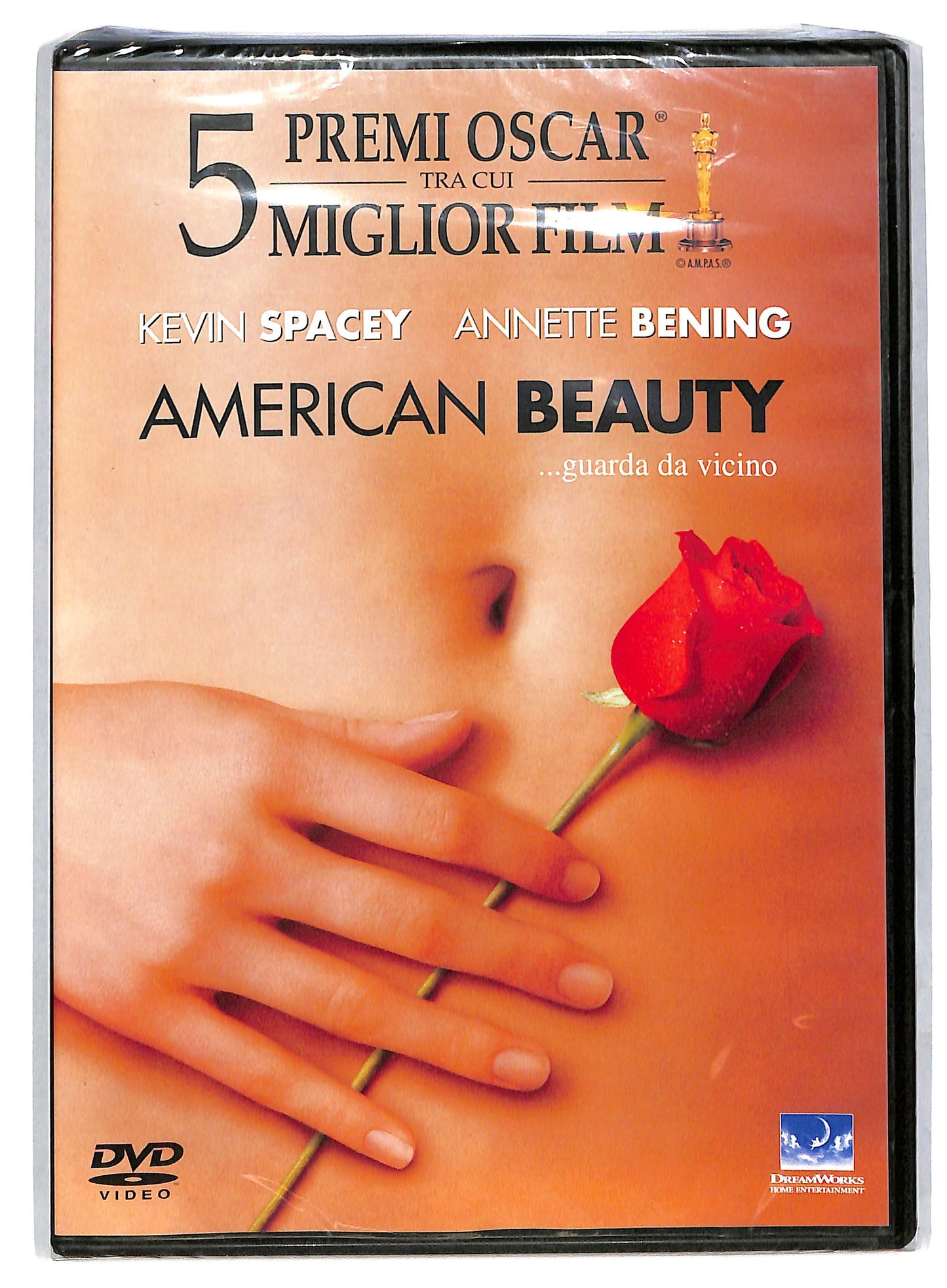 EBOND American Beauty DVD DB799940