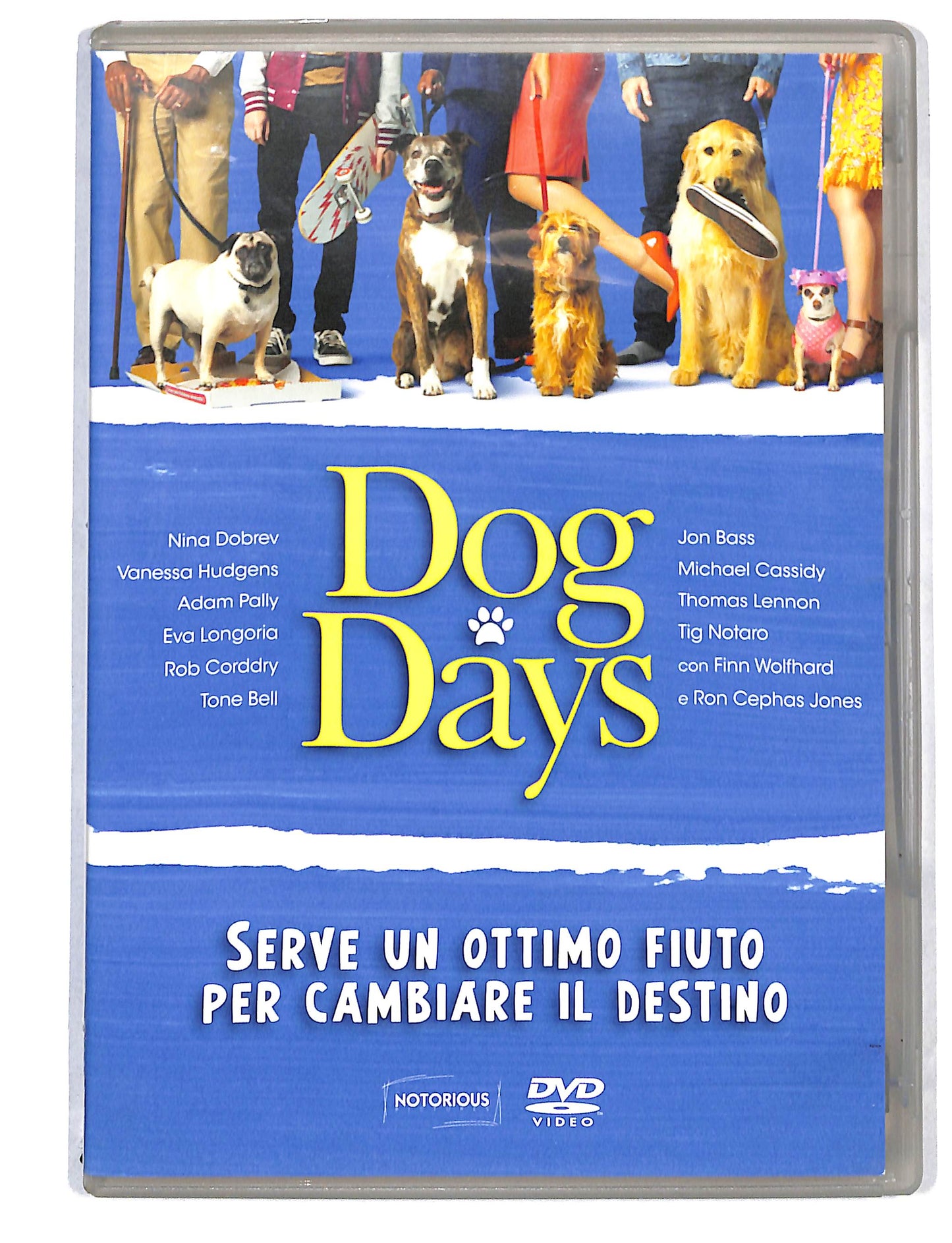EBOND Dog Days DVD DB800426