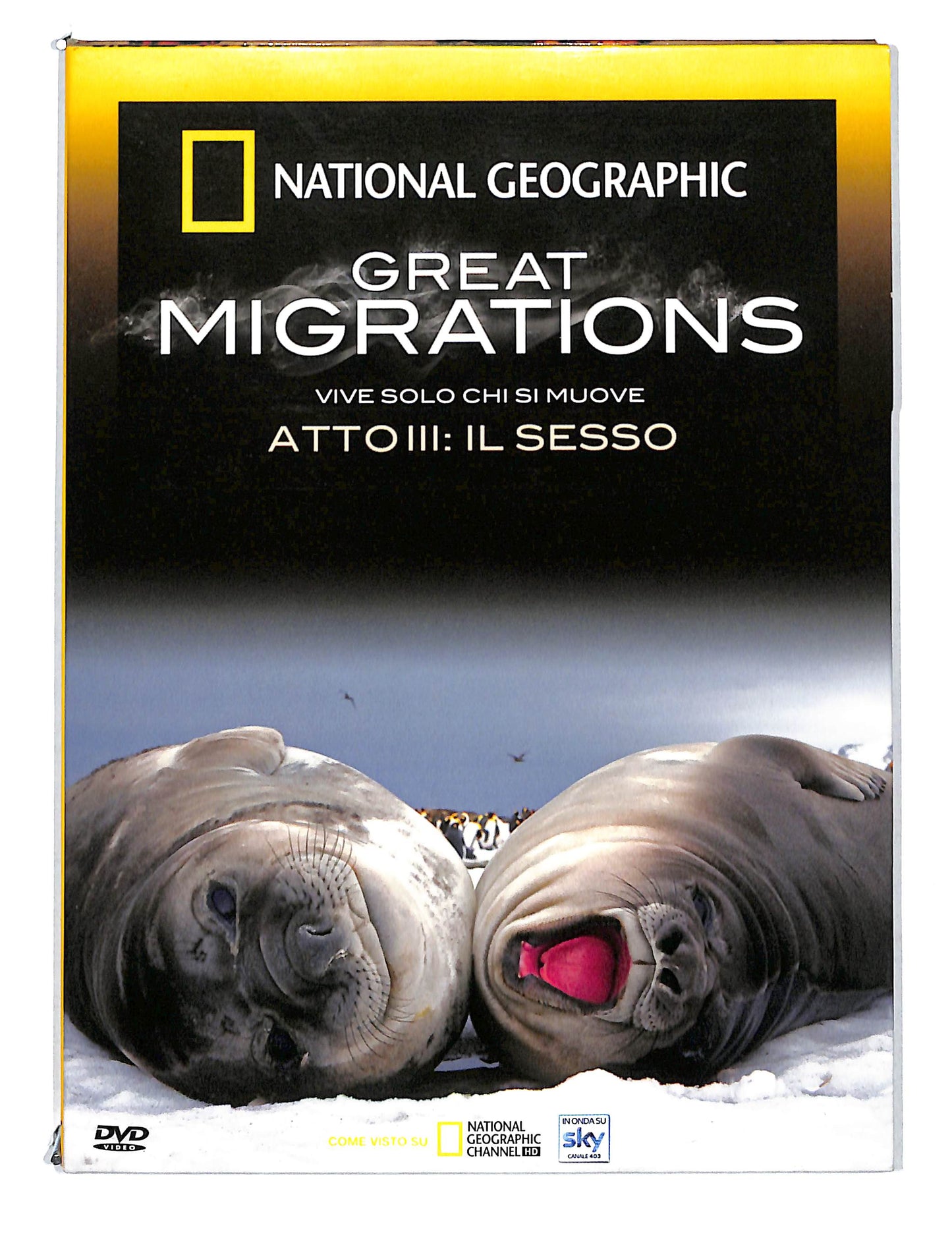 EBOND National geographic - Great Migrations vol.3 EDITORIALE DVD DB812902