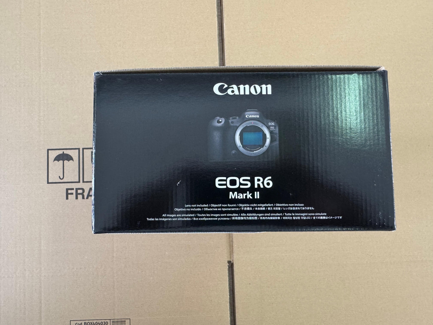 Canon Eos R6 Mark II body solo corpo ELE-0115