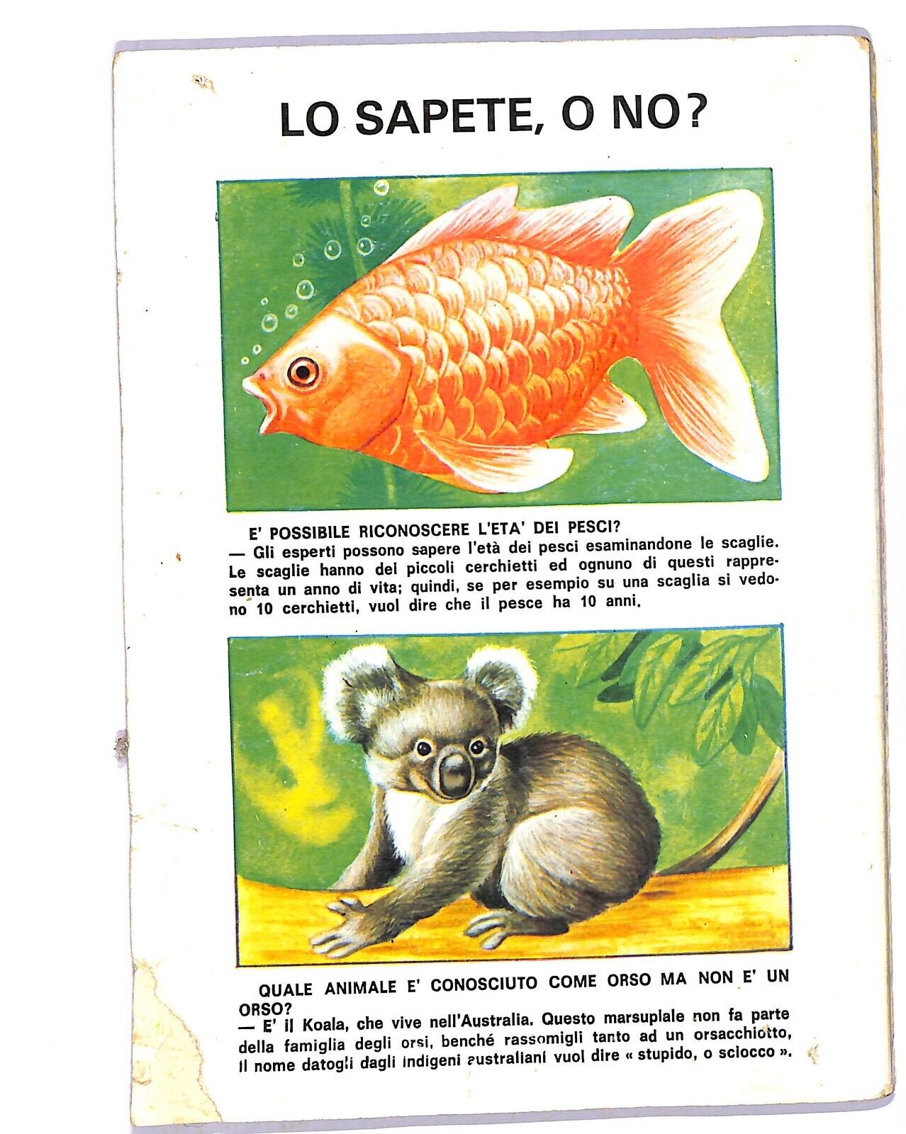 EBOND Phantom Selezione N.9 Libro LI003818