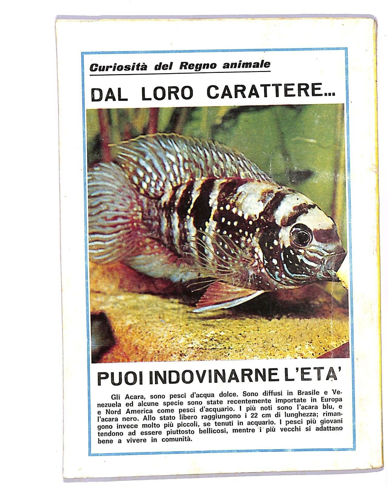 EBOND Phantom Selezione N.15 Libro LI003819