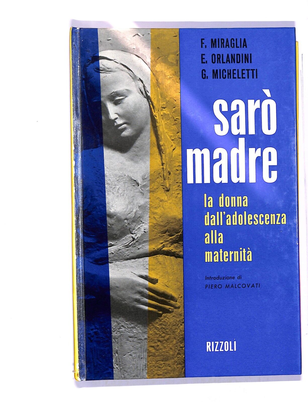 EBOND Saro Madre Libro LI004355