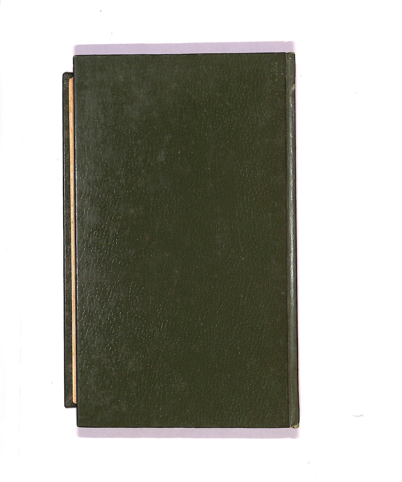 EBOND Il Castello Libro LI005756