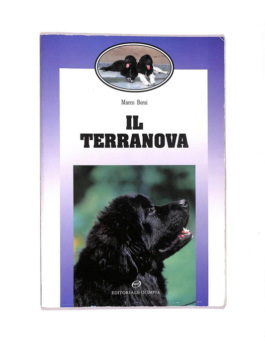 EBOND Il Terranova Libro LI006112