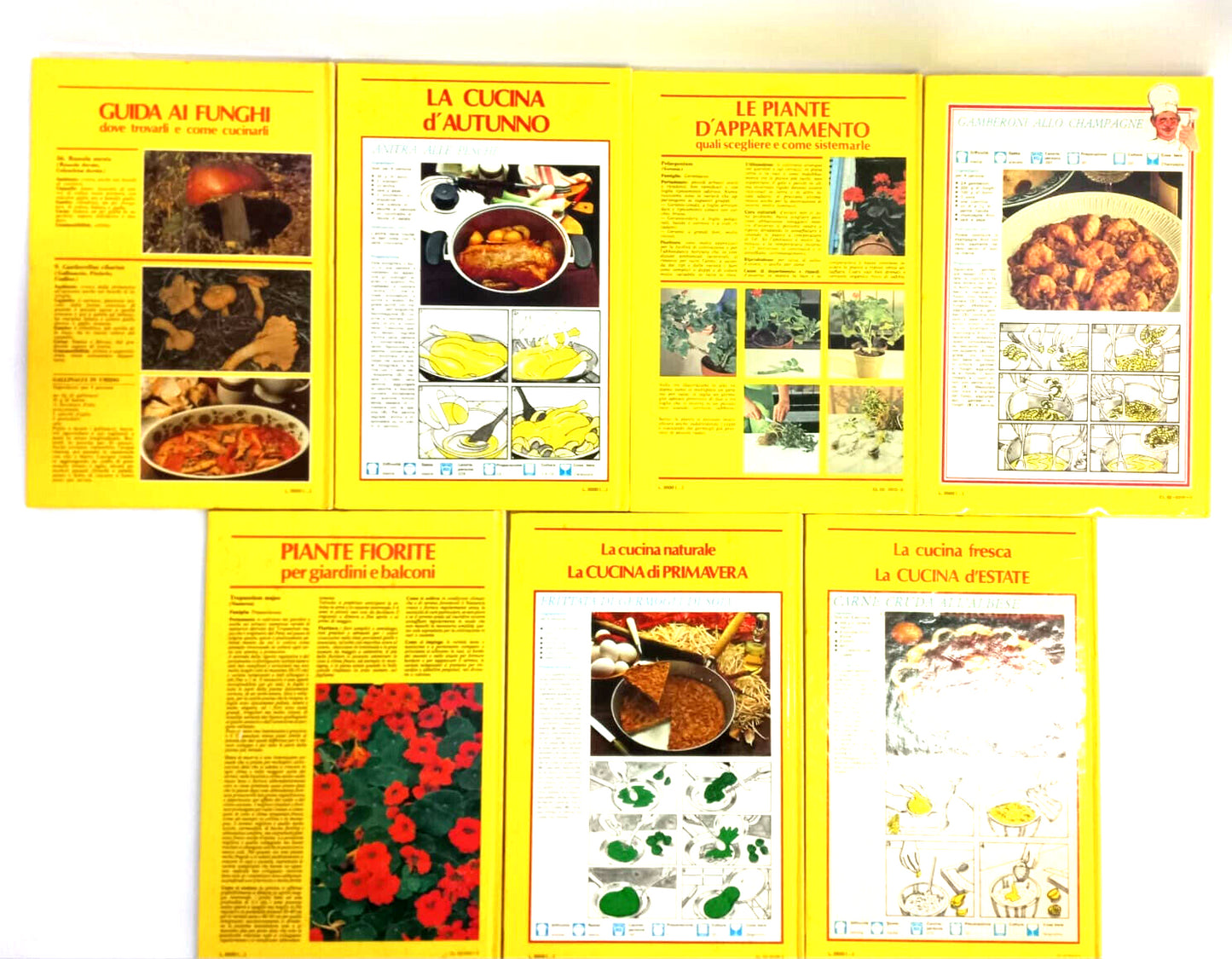 EBOND Lotto Libri D'oro Per La Casa Vol 1 a 7 Libro LI007400