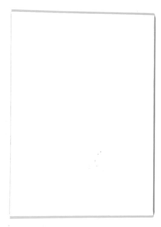 EBOND Barbarano Romano - Alla Ricerca Delle Nostre Origini Libro LI008006
