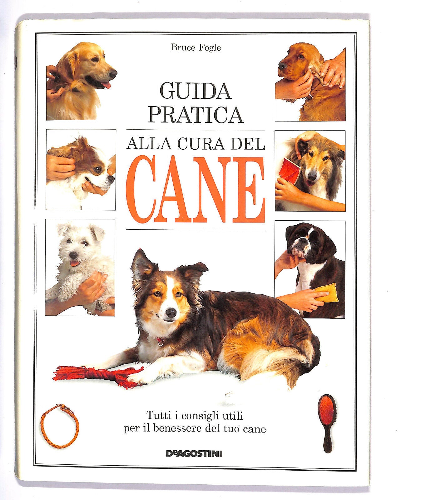 EBOND Guida Pratica Alla Cura Del Cane Libro LI008653