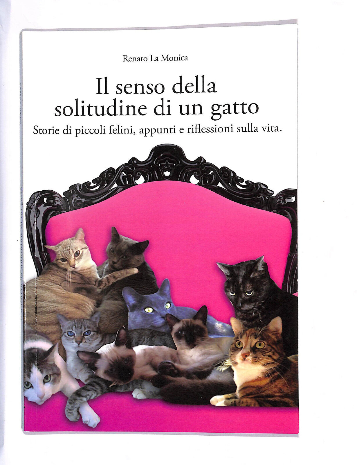 EBOND Il Senso Della Solitudine Di Un Gatto Libro LI009810