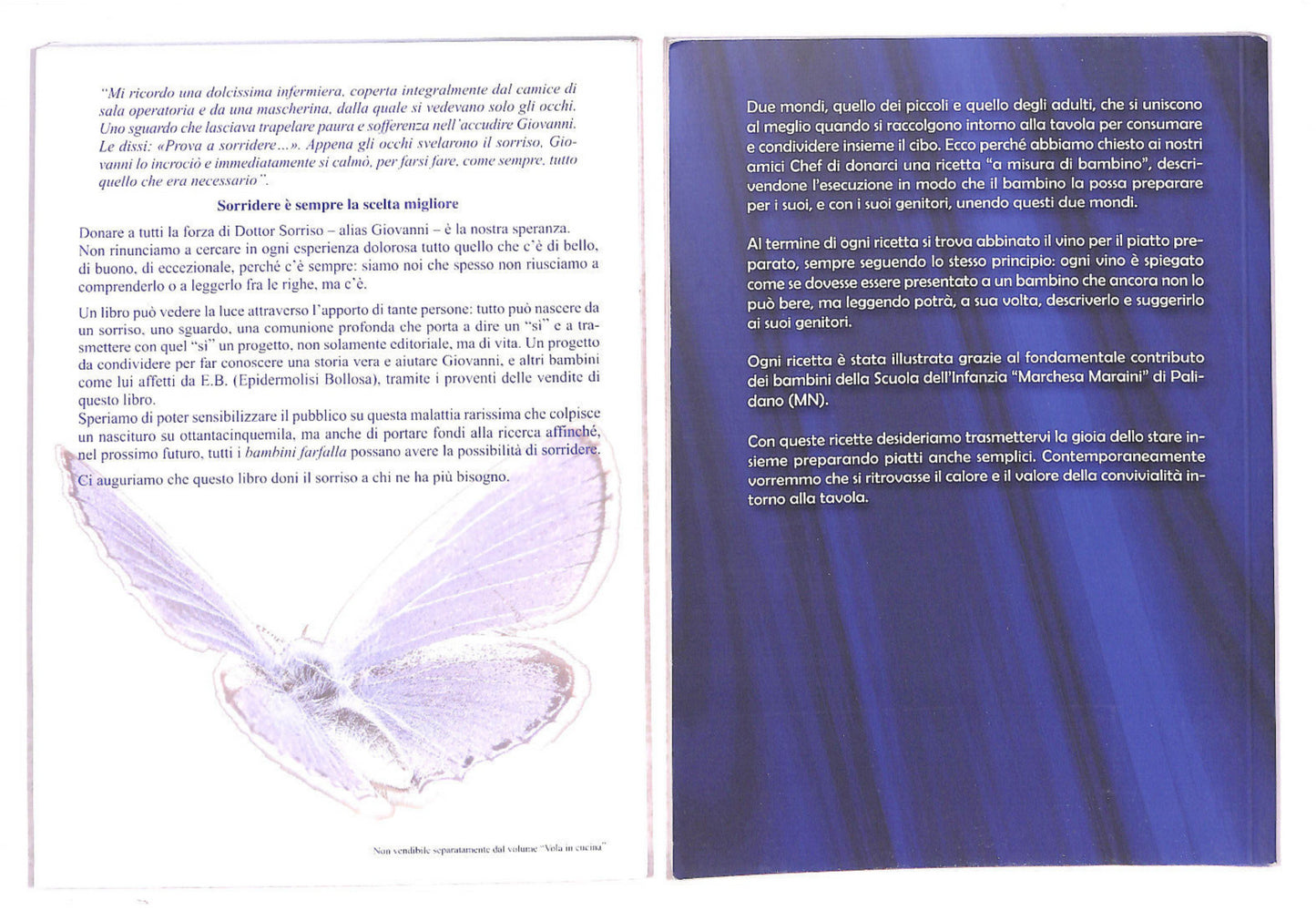 EBOND Il Sorriso Di Una Farfalla e Vola In Cucina Libro LI011116