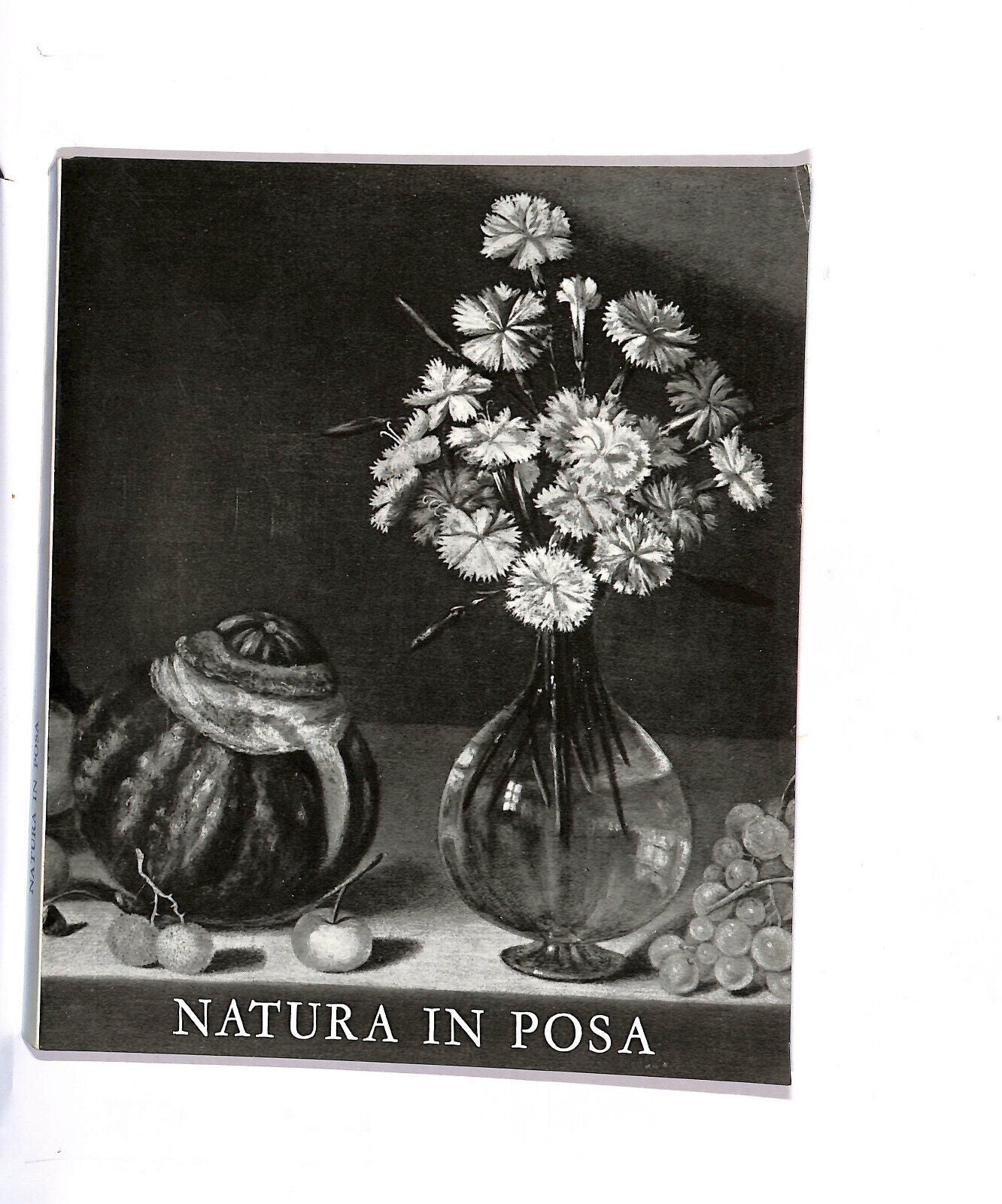 EBOND Natura In Posa Galleria Lorenzelli Bergamo Libro LI015010