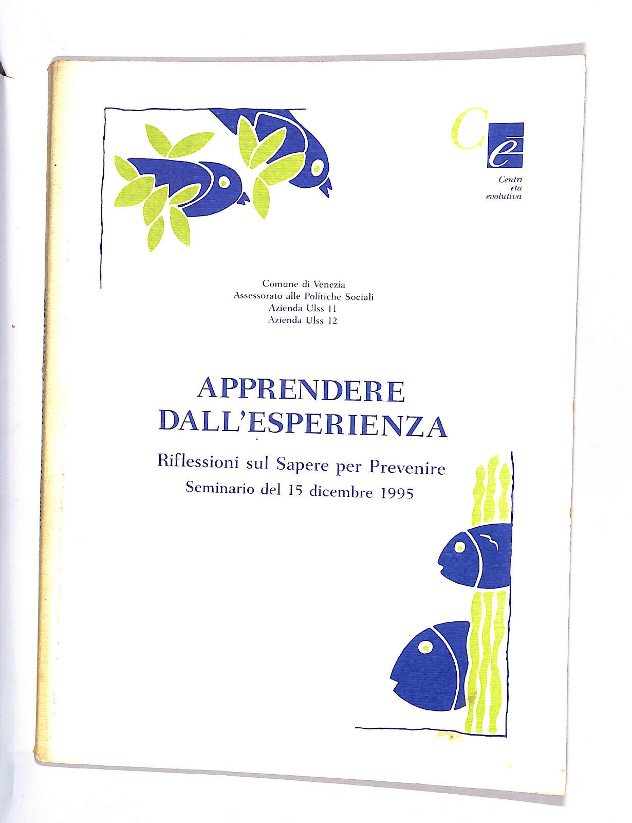 EBOND Apprendere Dall'esperienza Seminario Del 15/12/1995 Venezia Libro LI015011