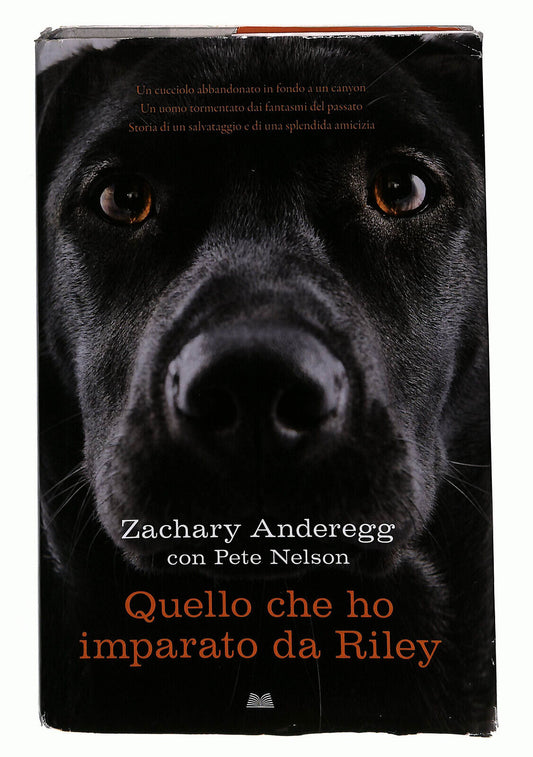 EBOND Quello Che Ho Imparato Da Riley Di Zachary Anderegg Libro LI021652