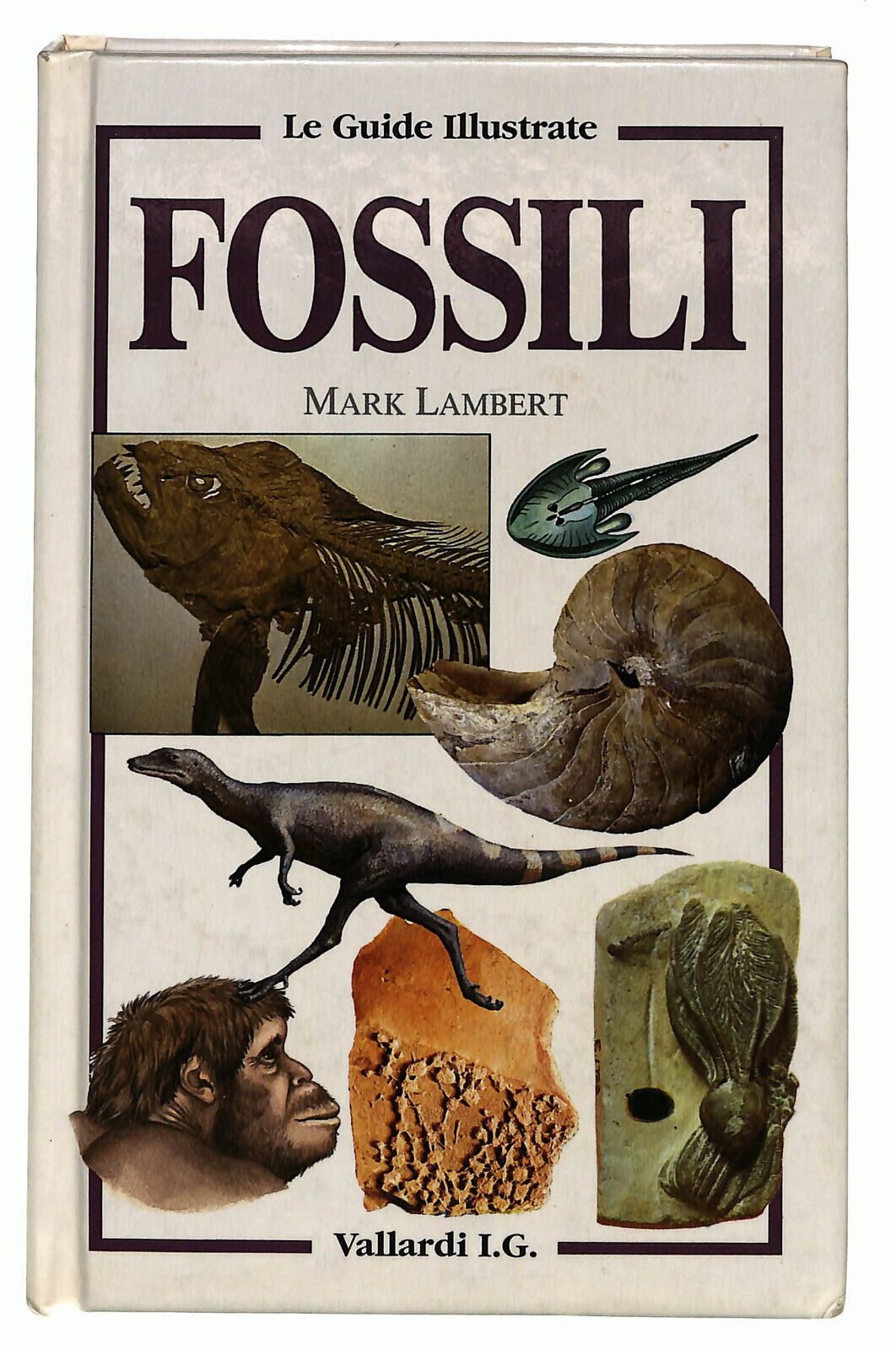 EBOND Fossili Di Mark Lambert Libro LI022002