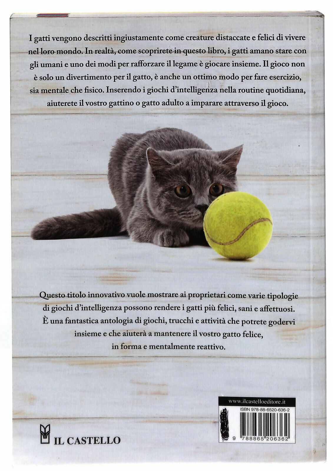 EBOND Gioca Con Il Tuo Gatto Di Claire Arrowsmith 2018 Libro LI023051