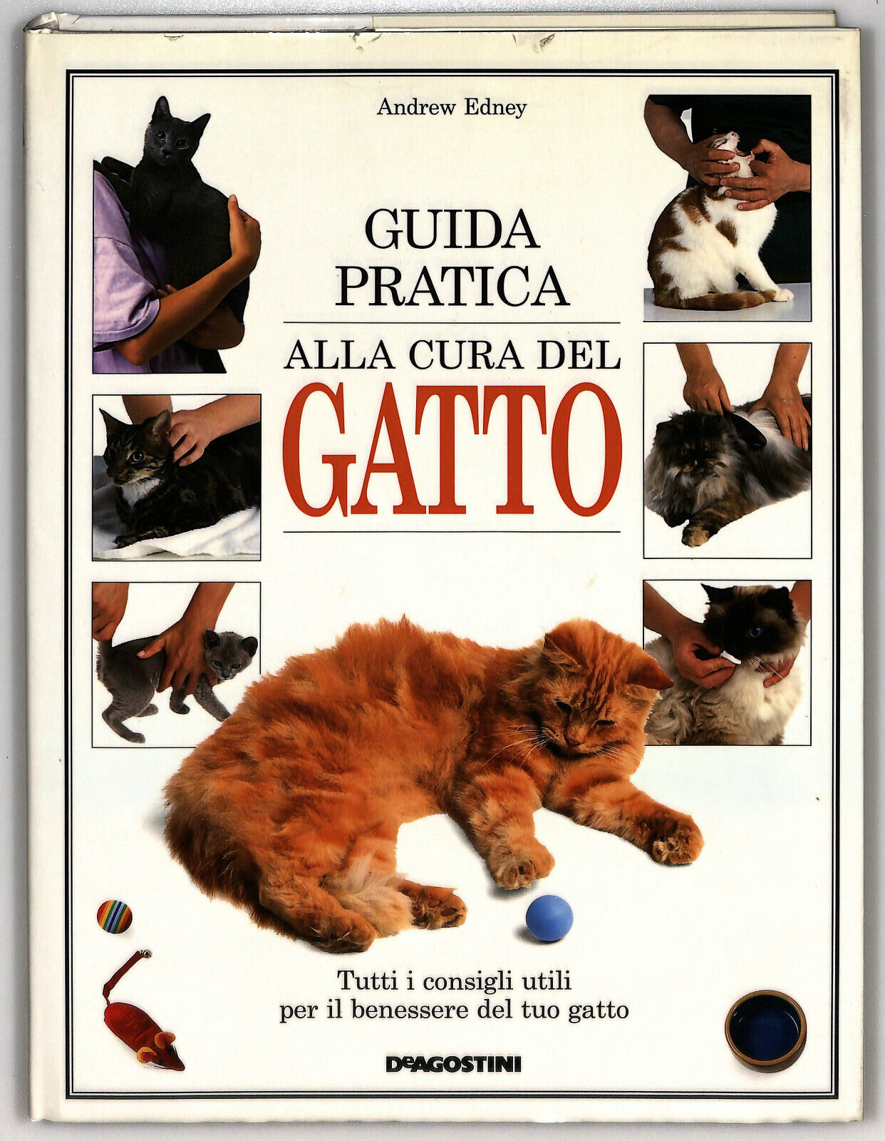 EBOND Guida Pratica Alla Cura Del Gatto Di Andrew Edney Libro LI023706