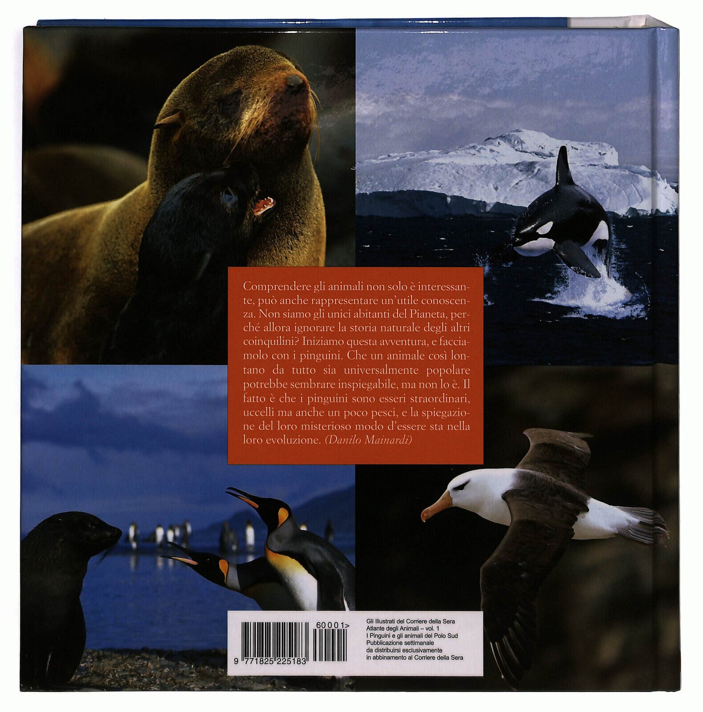 EBOND I Pinguini e Gli Animali Del Polo Sud Atlante Degli Animali Libro LI024415