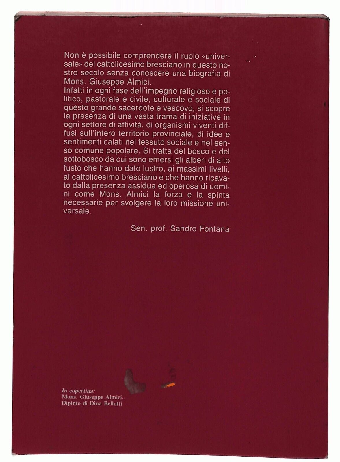 EBOND Mons. Giuseppe Almici Profilo e Testimonianze R Baldussi Libro LI029009