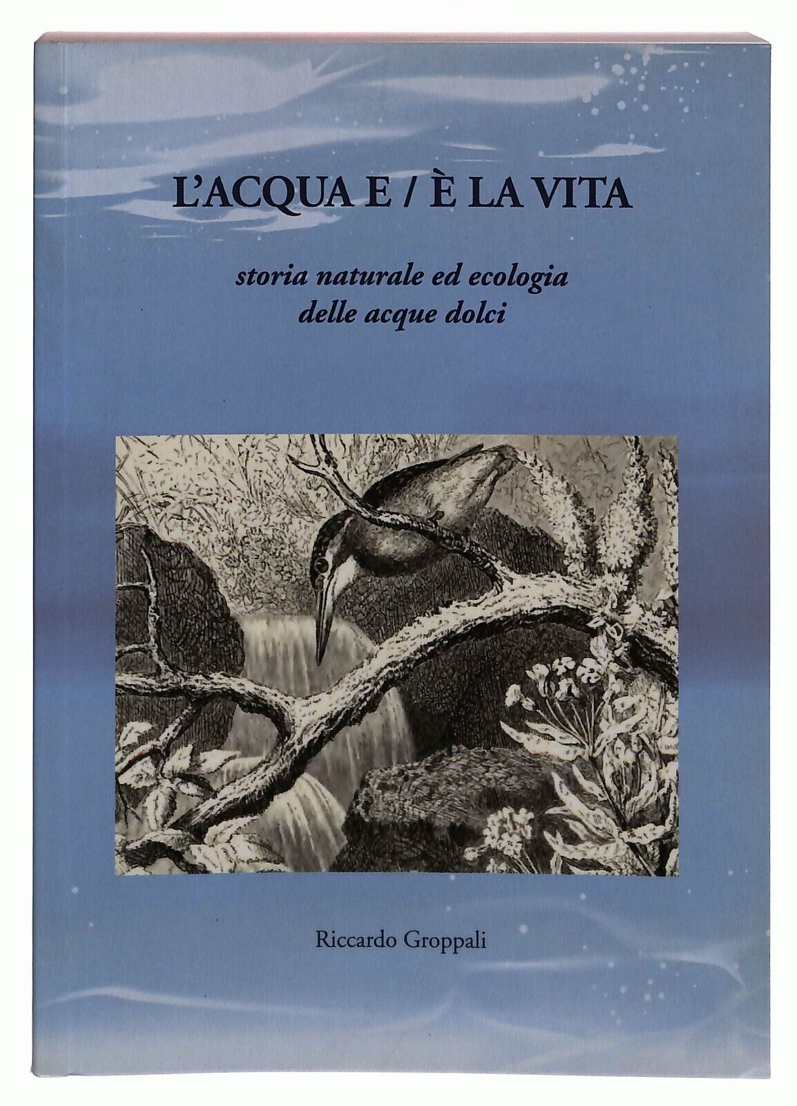 EBOND L'acqua e / e Vita Riccardo Groppali Cremona 2020 Libro LI029154