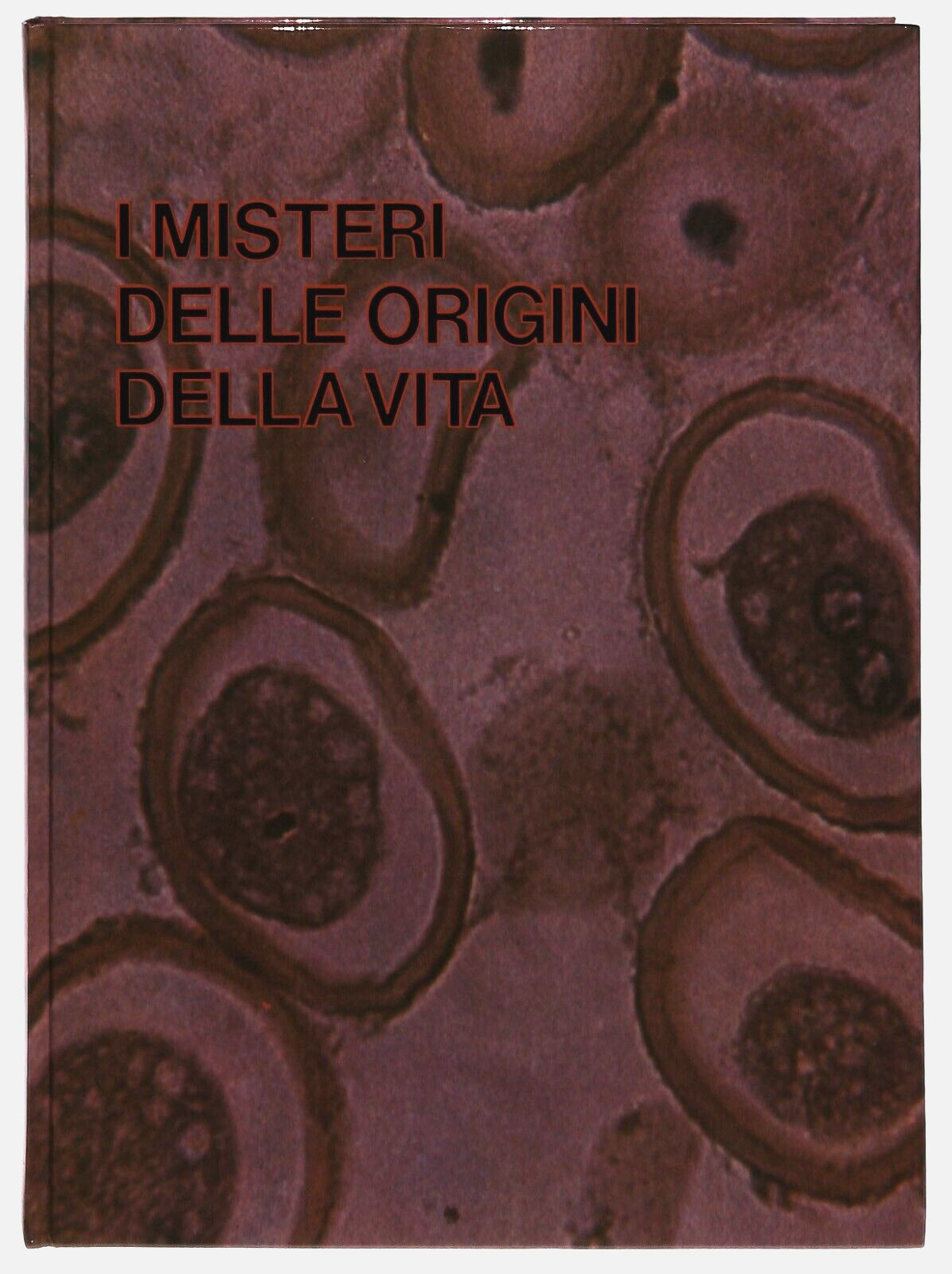 EBOND i Misteri Delle Origini Della Vita Vol.2 Yves Verbeek Ferni Libro LI029904